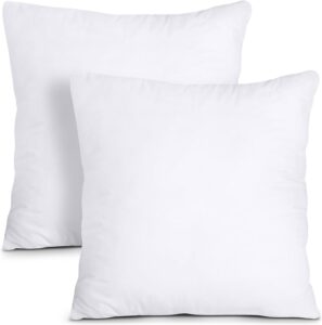 Throw Pillows Insert